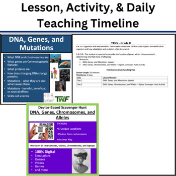 S.8.13.B - Function of Genes in Determining Inherited Traits  | TEKS 8th Grade, image 3