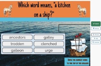 Misty of Chincoteague Vocabulary Boom™ Cards BUNDLE/7 SETS (295 CARDS), image 3