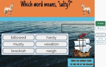 Misty of Chincoteague Vocabulary Boom™ Cards BUNDLE/7 SETS (295 CARDS), image 4