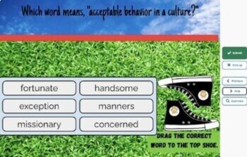 BECAUSE OF WINN DIXIE Vocabulary Boom™ Cards BUNDLE/6 SETS (295 CARDS), image 4