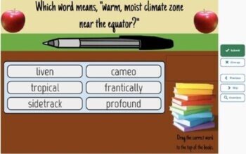 Frindle Vocabulary Boom™ Cards BUNDLE/4 SETS (169 CARDS), image 4