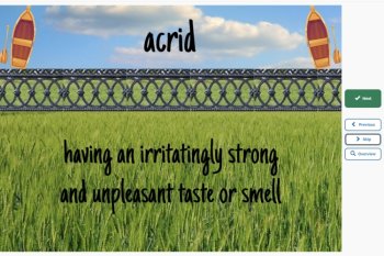 Tuck Everlasting Vocabulary Boom™ Cards Set #5 (Chapters 19-22) 42 Cards, image 2