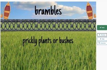 Tuck Everlasting Vocabulary Boom™ Cards Set #3 (Chapters 11-14) 42 Cards, image 2