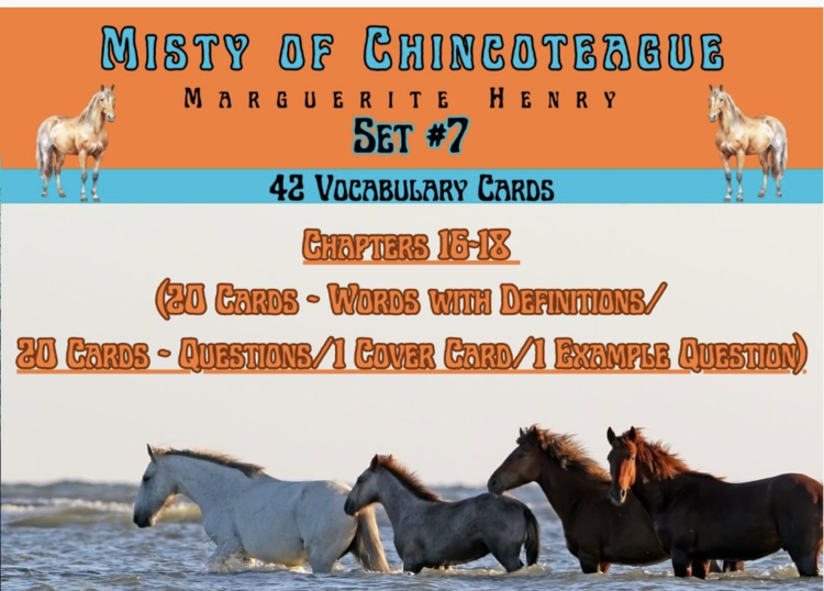 Misty of Chincoteague Vocabulary Boom™ Cards Set #7 (Chapters 16-18) 42 Cards