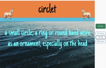 Misty of Chincoteague Vocabulary Boom™ Cards Set #7 (Chapters 16-18) 42 Cards, image 2