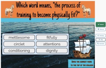 Misty of Chincoteague Vocabulary Boom™ Cards Set #7 (Chapters 16-18) 42 Cards, image 3