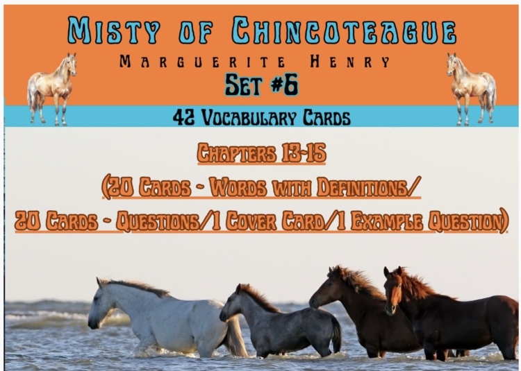 Misty of Chincoteague Vocabulary Boom™ Cards Set #6 (Chapters 13-15) 42 Cards