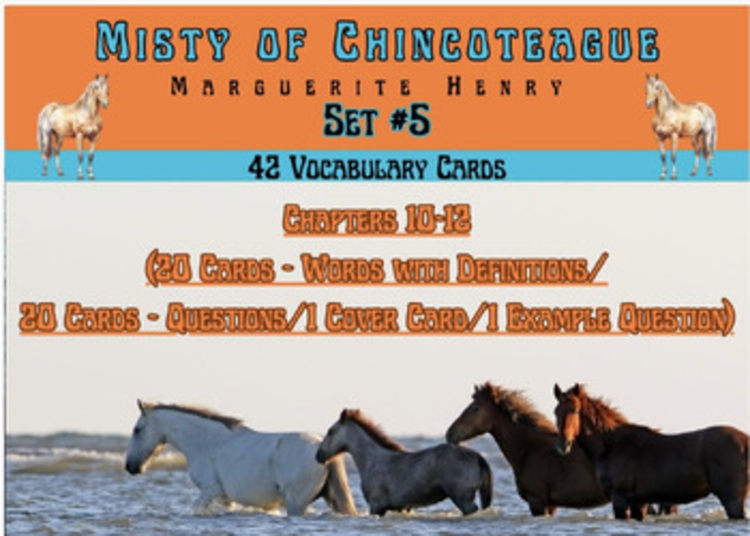 Misty of Chincoteague Vocabulary Boom™ Cards Set #5 (Chapters 10-12) 42 Cards