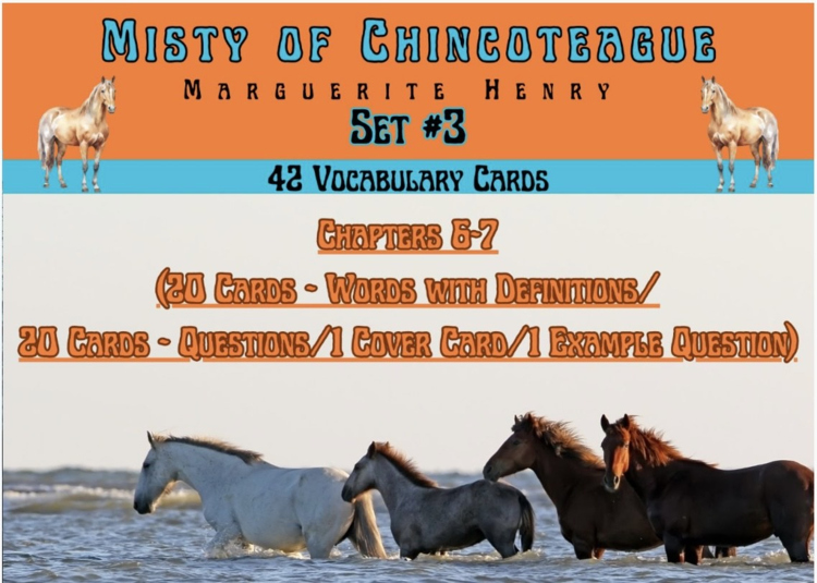 Misty of Chincoteague Vocabulary Boom™ Cards Set #3 (Chapters 6-7) 42 Cards