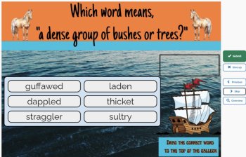 Misty of Chincoteague Vocabulary Boom™ Cards Set #3 (Chapters 6-7) 42 Cards, image 4