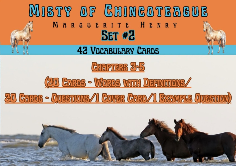 Misty of Chincoteague Vocabulary Boom™ Cards Set #2 (Chapters 3-5) 42 Cards