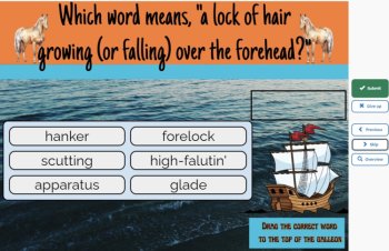 Misty of Chincoteague Vocabulary Boom™ Cards Set #2 (Chapters 3-5) 42 Cards, image 3
