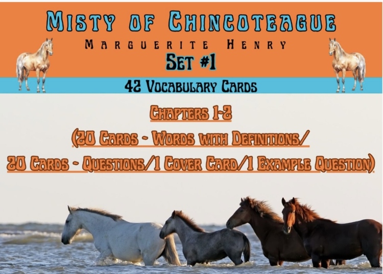Misty of Chincoteague Vocabulary Boom™ Cards Set #1 (Chapters 1-2) 42 Cards