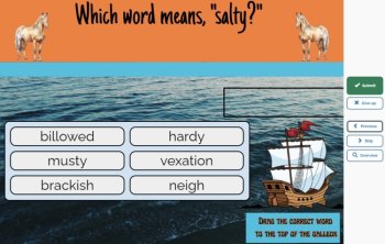 Misty of Chincoteague Vocabulary Boom™ Cards Set #1 (Chapters 1-2) 42 Cards, image 4