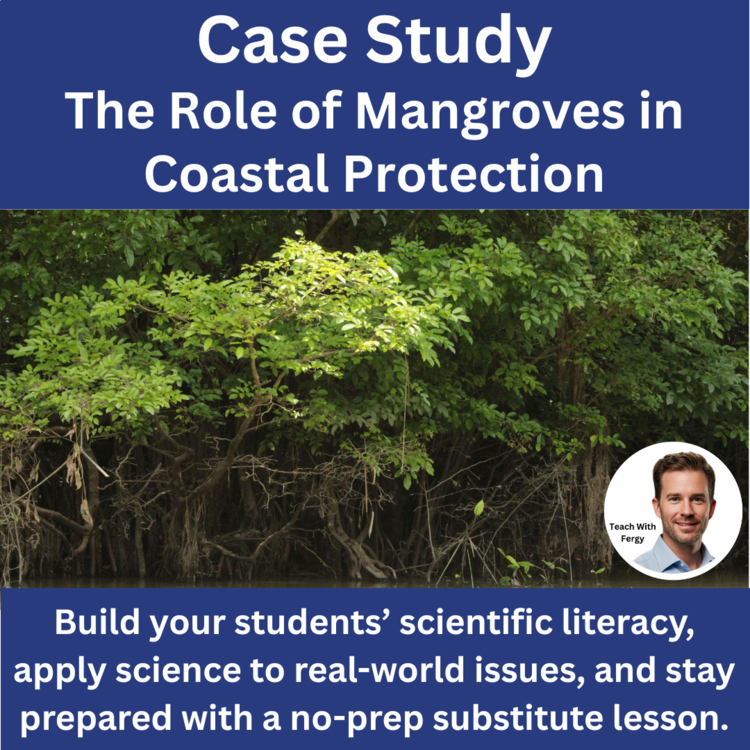 Ecology Case Study - The Role of Mangroves in Coastal Protection | Reading