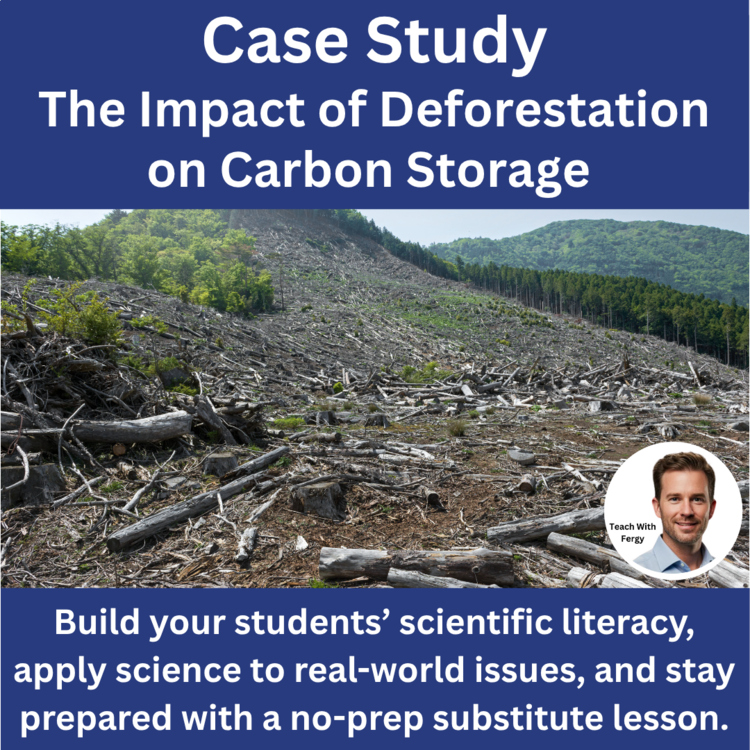Ecology Case Study - The Impact of Deforestation on Carbon Storage | Reading