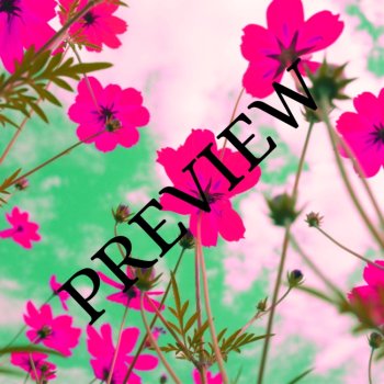 BOHO Macrame & Flowers 14 Digital Wallpapers/Backgrounds 300 dpi, image 2