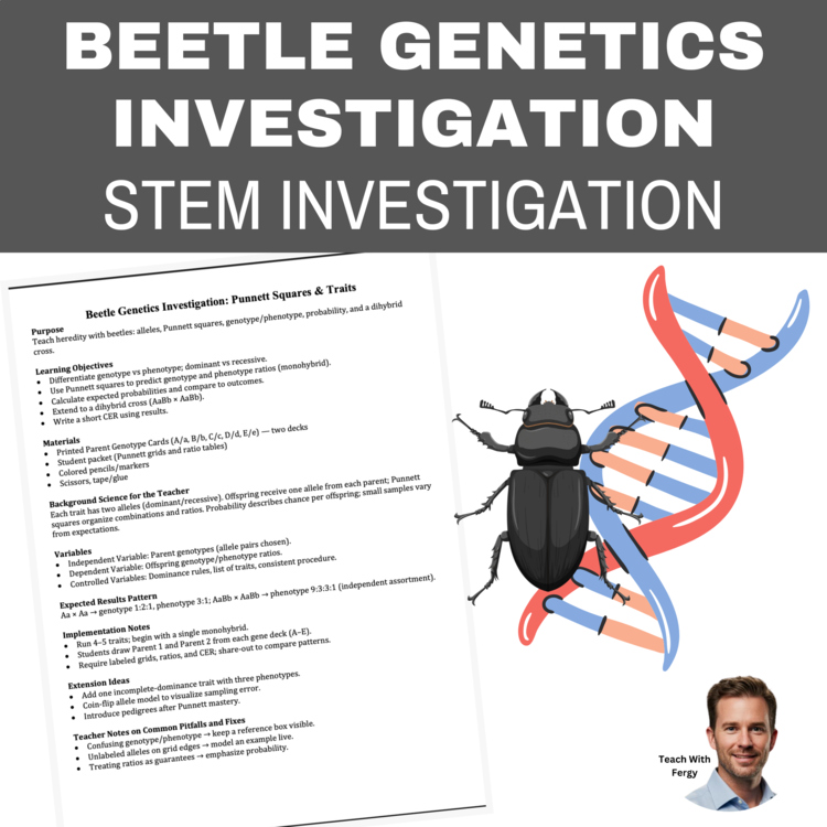 Beetle Genetics STEM Investigation | Scientific Method | 6th, 7th, 8th
