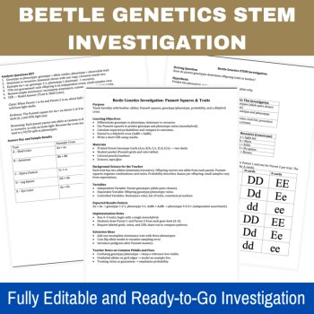 Beetle Genetics STEM Investigation | Scientific Method | 6th, 7th, 8th, image 4