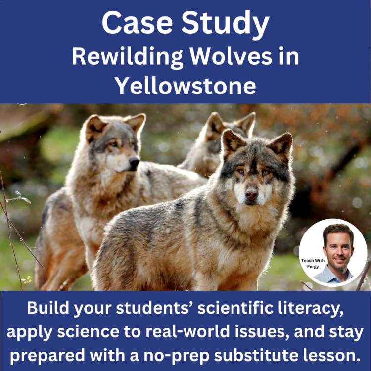 Ecology Case Study - Rewilding Wolves in Yellowstone | Reading