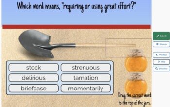 Holes Vocabulary Boom™ Cards Set #10 (Chapters 46-50) 42 Cards, image 4