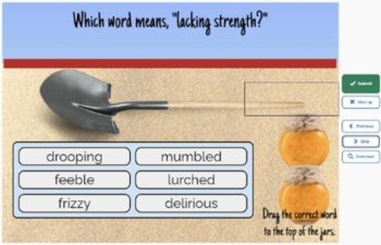 Holes Vocabulary Boom™ Cards Set #7 (Chapters 29-35) 42 Cards, image 4