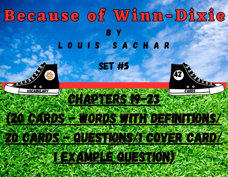 Because of Winn Dixie Vocabulary Boom™ Cards Set #5 (Chapters 19-23) 42 Cards