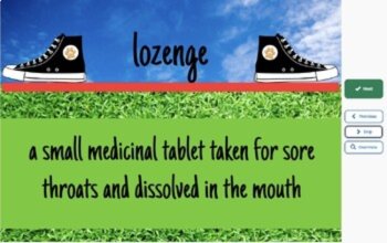 Because of Winn Dixie Vocabulary Boom™ Cards Set #5 (Chapters 19-23) 42 Cards, image 2