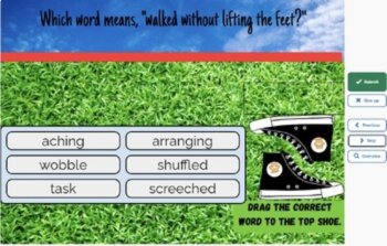 Because of Winn Dixie Vocabulary Boom™ Cards Set #5 (Chapters 19-23) 42 Cards, image 3