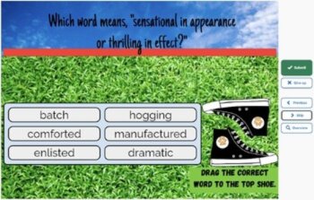 Because of Winn Dixie Vocabulary Boom™ Cards Set #4 (Chapters 14-18) 42 Cards, image 4