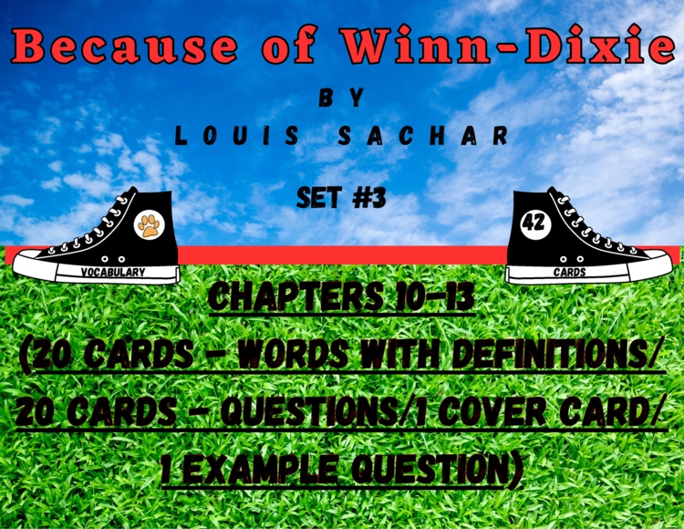 Because of Winn Dixie Vocabulary Boom™ Cards Set #3 (Chapters 10-13) 42 Cards