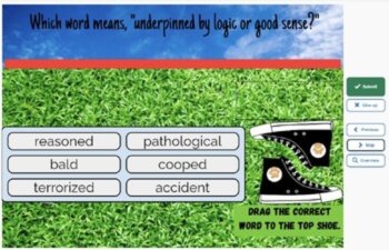 Because of Winn Dixie Vocabulary Boom™ Cards Set #3 (Chapters 10-13) 42 Cards, image 3