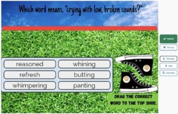 Because of Winn Dixie Vocabulary Boom™ Cards Set #3 (Chapters 10-13) 42 Cards, image 4