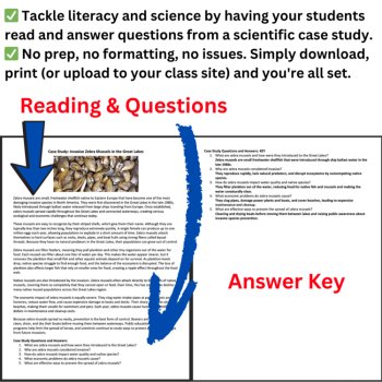 Ecology Case Study - Invasive Zebra Mussels in the Great Lakes | Reading, image 2