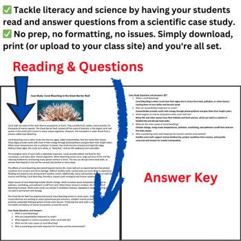 Ecology Case Study - Coral Bleaching in the Great Barrier Reef | Reading, image 2