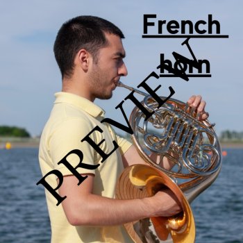 Musical Instruments! (Photos & Words) 14 Power Point/Backgrounds/Wallpapers, image 2