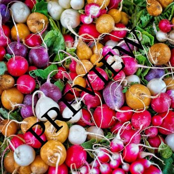 Vegetable Photos! (Full Color) 14 Digital Backgrounds/Wallpapers, image 2
