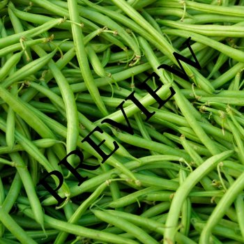 Vegetable Photos! (Full Color) 14 Digital Backgrounds/Wallpapers, image 4