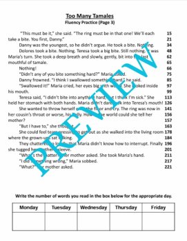 Christmas & Hispanic Culture "Too Many Tamales" (Gary Soto) 4 Fluency Passages!, image 2