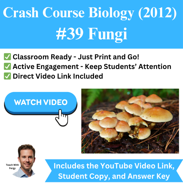 Crash Course BIOLOGY (2012) #39: Fungi | Fungal Structure & Nutrient Absorption