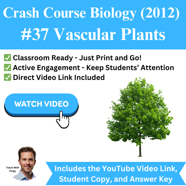 Crash Course BIOLOGY (2012) #37: Vascular Plants | Xylem, Phloem, Water Movement