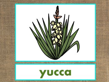 Letter Y Alphabet PowerPoint Fun & Colorful Words w/Pictures (Expandable), image 4