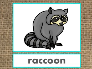 Letter R Alphabet PowerPoint Fun & Colorful Words w/Pictures (Expandable), image 4