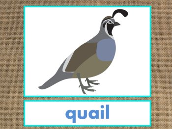 Letter Q Alphabet PowerPoint Fun & Colorful Words w/Pictures (Expandable), image 2