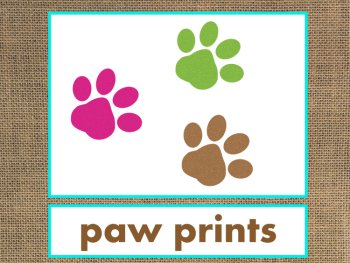 Letter P Alphabet PowerPoint Fun & Colorful Words w/Pictures (Expandable), image 3