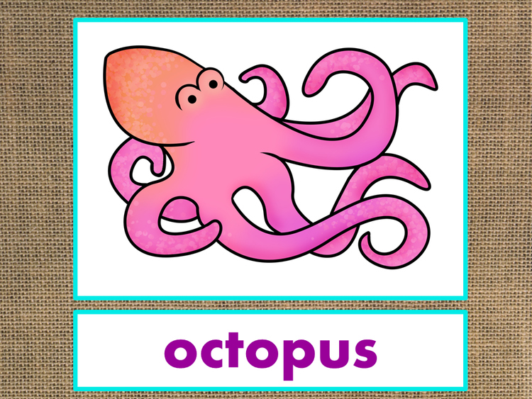 Letter O Alphabet PowerPoint Fun & Colorful Words w/Pictures (Expandable)