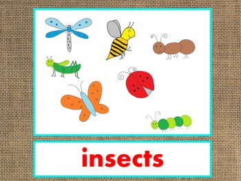 Letter I Alphabet PowerPoint Fun & Colorful Words w/Pictures (Expandable), image 4
