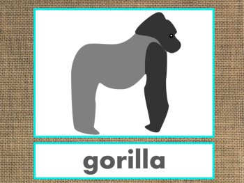 Letter G Alphabet PowerPoint Fun & Colorful Words w/Pictures (Expandable), image 3