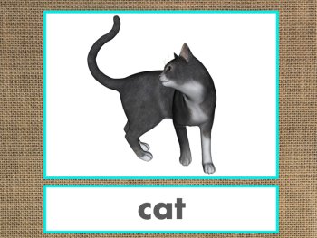 Letter C Alphabet PowerPoint Fun & Colorful Words w/Pictures (Expandable), image 4
