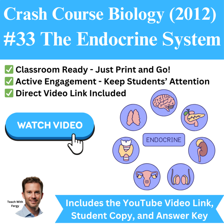 Crash Course BIOLOGY (2012) #33: The Endocrine System | Glands and Hormones